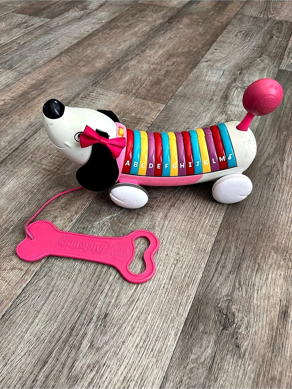 LeapFrog AlphaPup Alphabet Learning Toy With Key